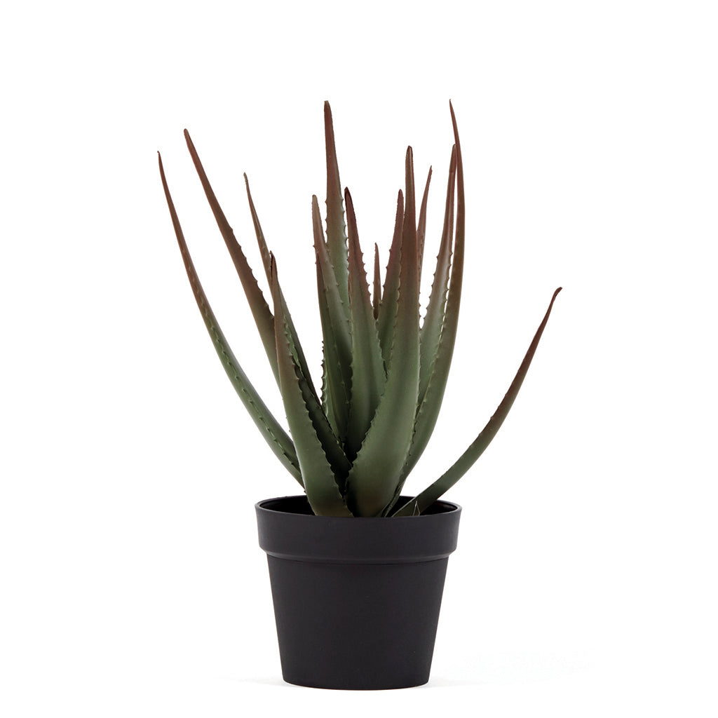 Colección plantas artificiales para interior DECOPLANT Nortene
