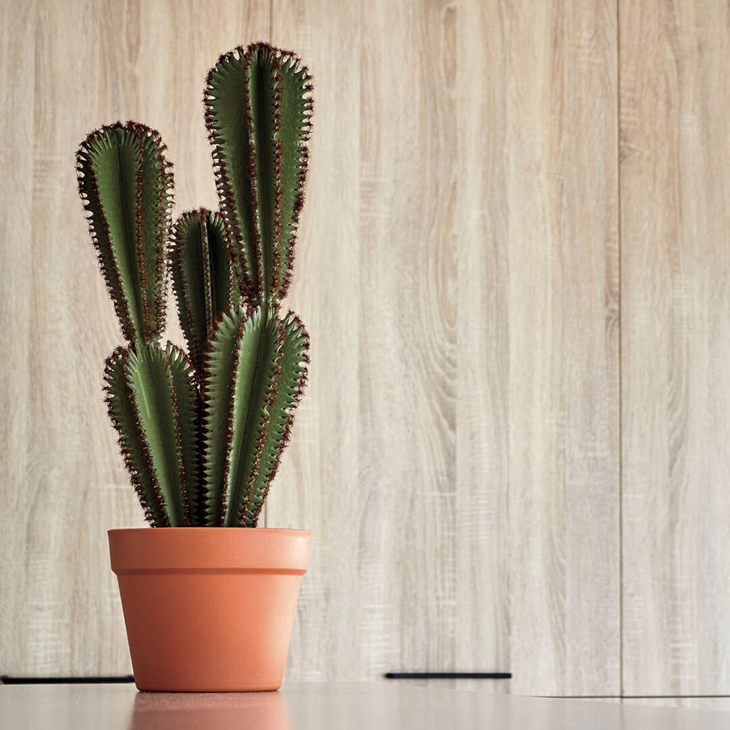 Colección plantas artificiales para interior DECOPLANT Nortene