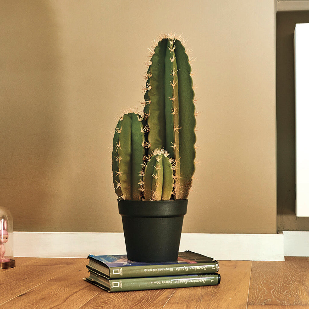 Colección plantas artificiales para interior DECOPLANT Nortene