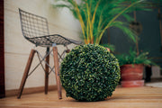 Esfera decorativa BUXO COMUM Nortene
