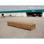 Listón de madera de pino AULO Nortene