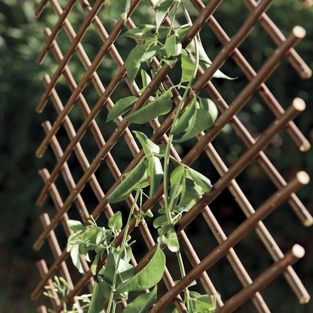 Celosía de mimbre extensible TRELLIWILLOW  Nortene