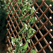 Celosía de mimbre extensible TRELLIWILLOW  Nortene