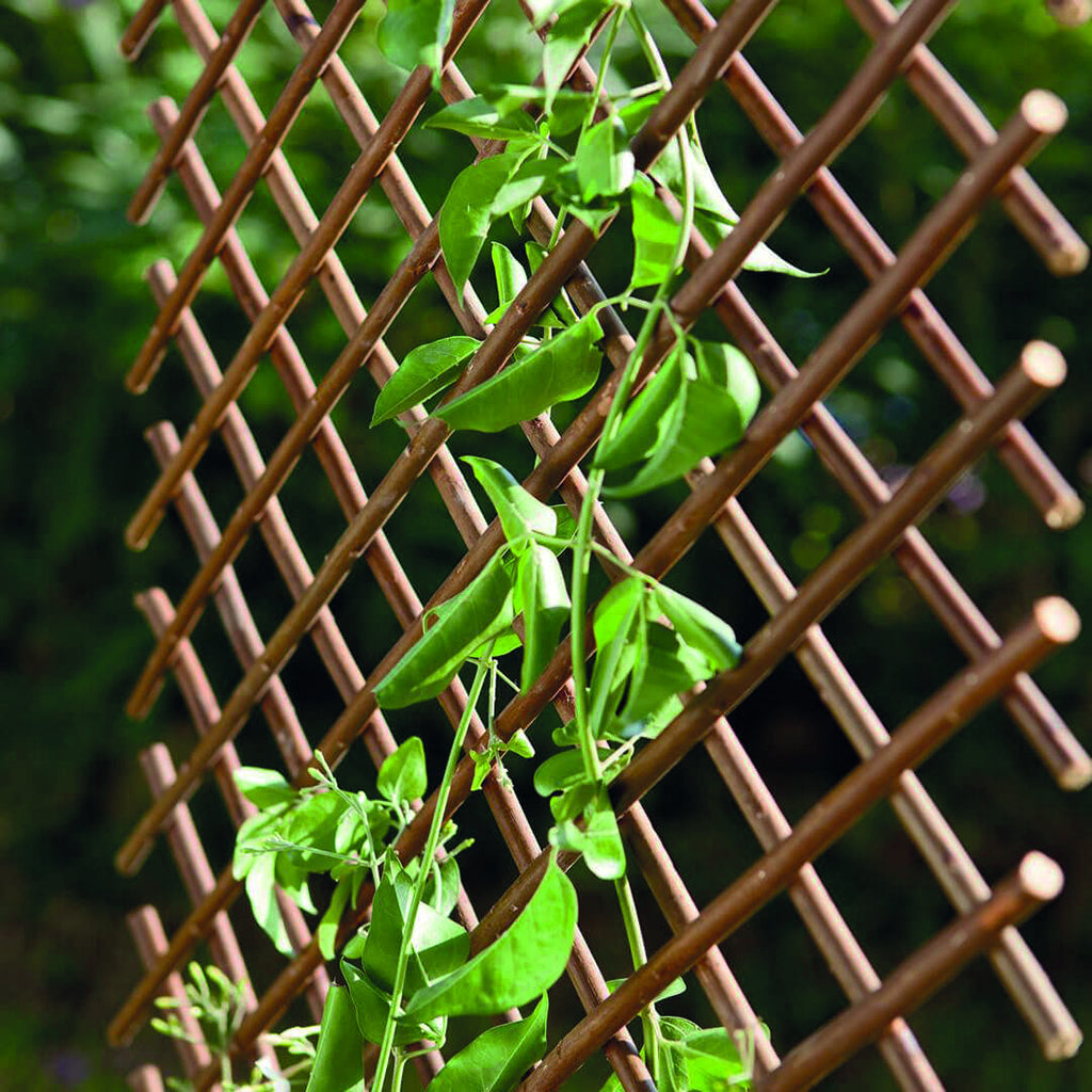 Celosía de mimbre extensible TRELLIWILLOW  Nortene
