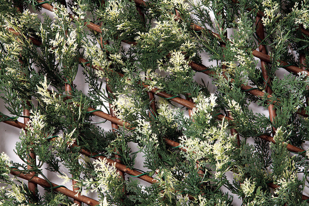 Treliça extensível TRELLIWILLOW CIPRESTE 1 x 1,5 m Nortene