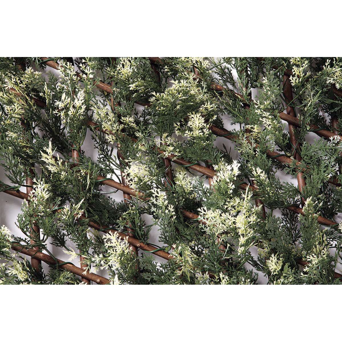 Celosía extensible TRELLIWILLOW CIPRÉS 1 x 1, 5 m Nortene