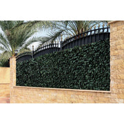 Celosia extensible con hojas TRELLIWILLOW HEDRA Nortene