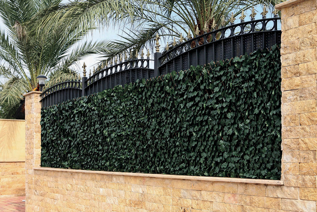 Celosia extensível com folhas TRELLIWILLOW HEDRA Nortene