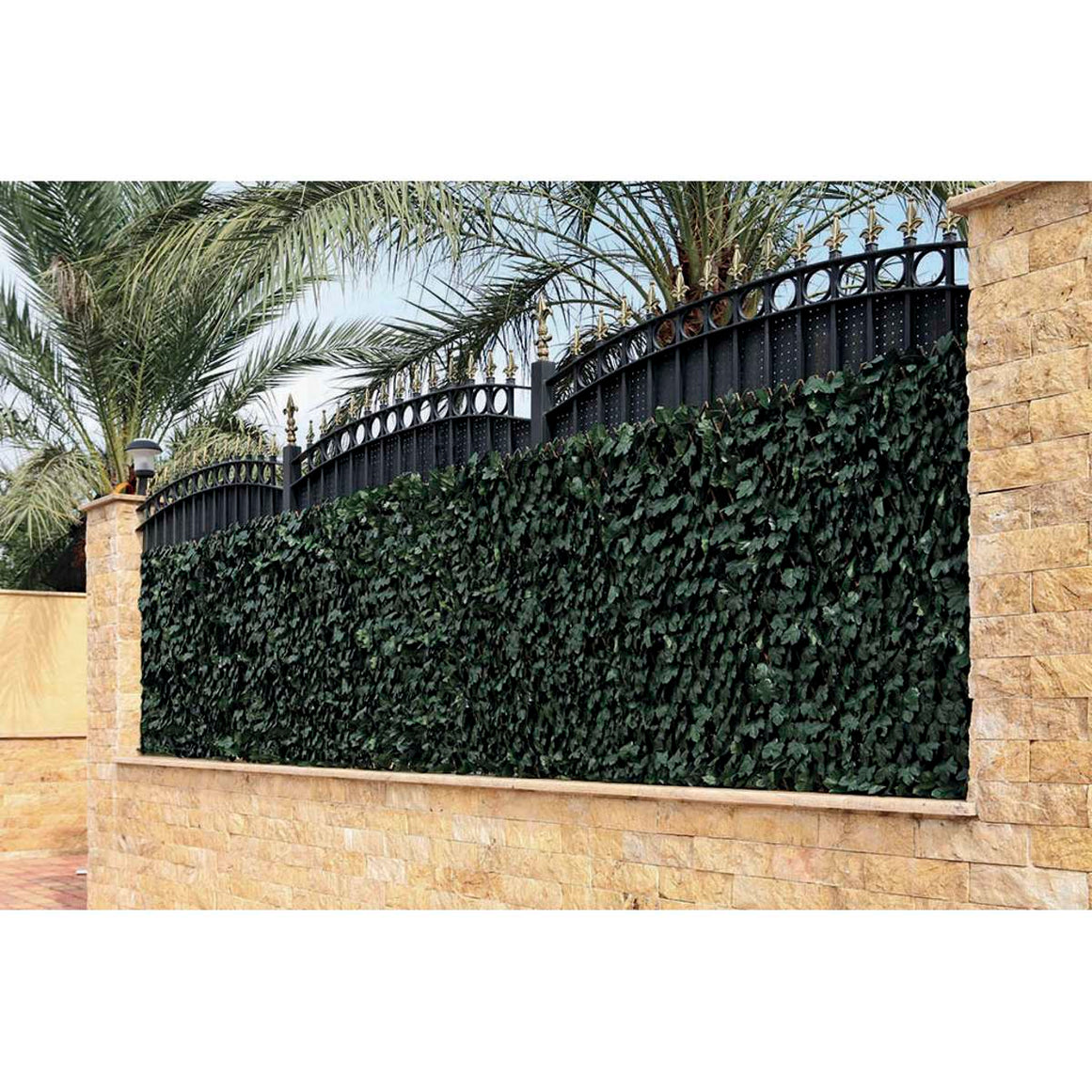 Celosia extensible con hojas TRELLIWILLOW HEDRA Nortene