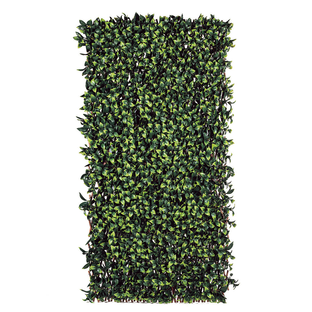 Treliça extensível de bambu TRELLI BAMBU BUXUS 1 x 2 m Nortene