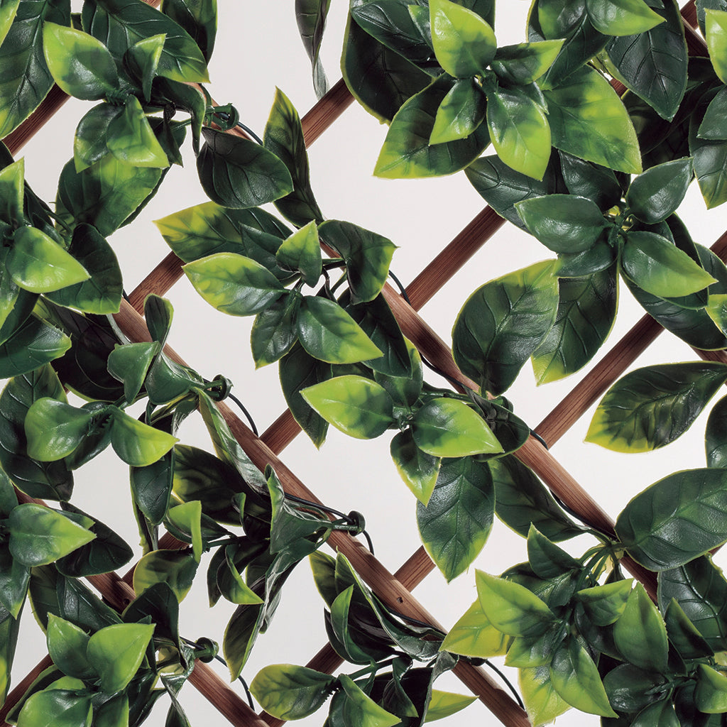 Treliça extensível de bambu TRELLI BAMBU BUXUS 1 x 2 m Nortene