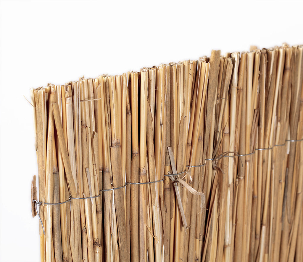 Caniço de bambu pelado multi-vara REED MULTI Nortene
