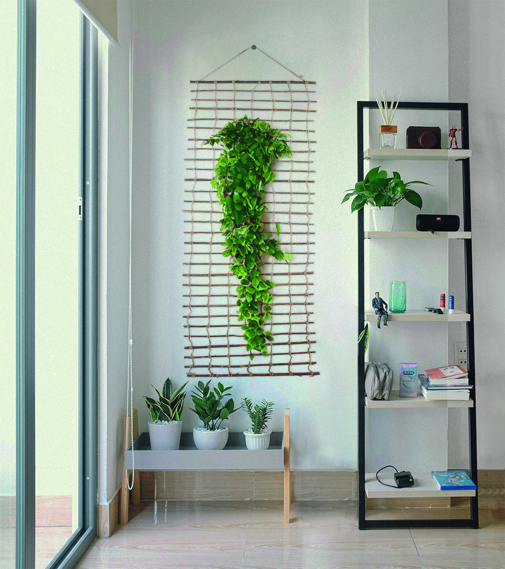 Suporte de parede para plantas CLIMBAWICK Nortene