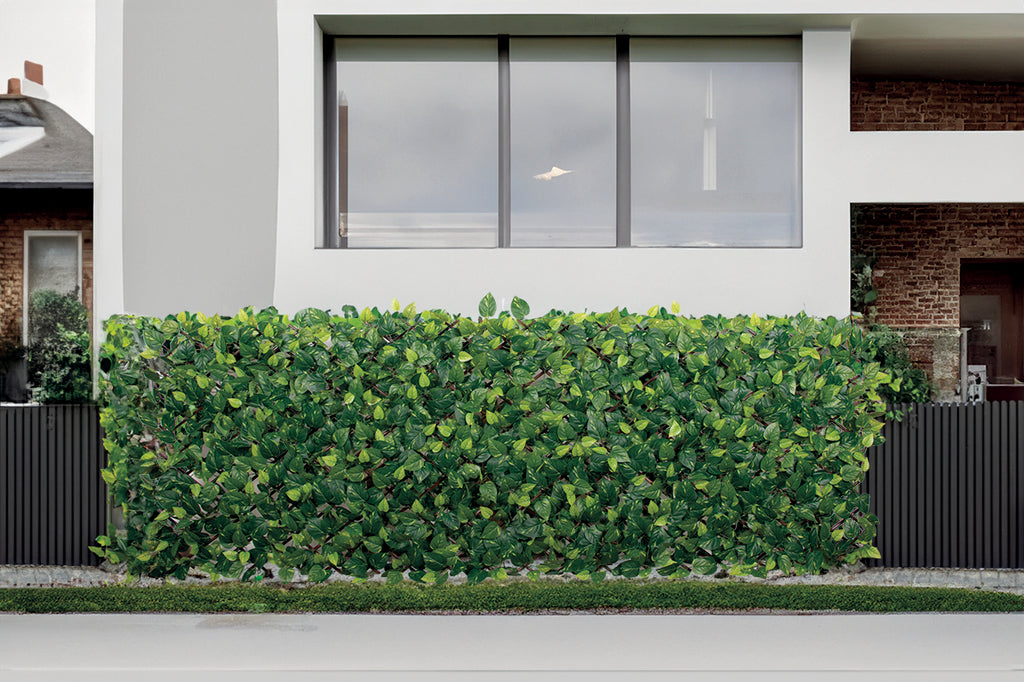 Celosía extensible con hojas EXTENSY GREEN ,9 x 1,8 m  Nortene