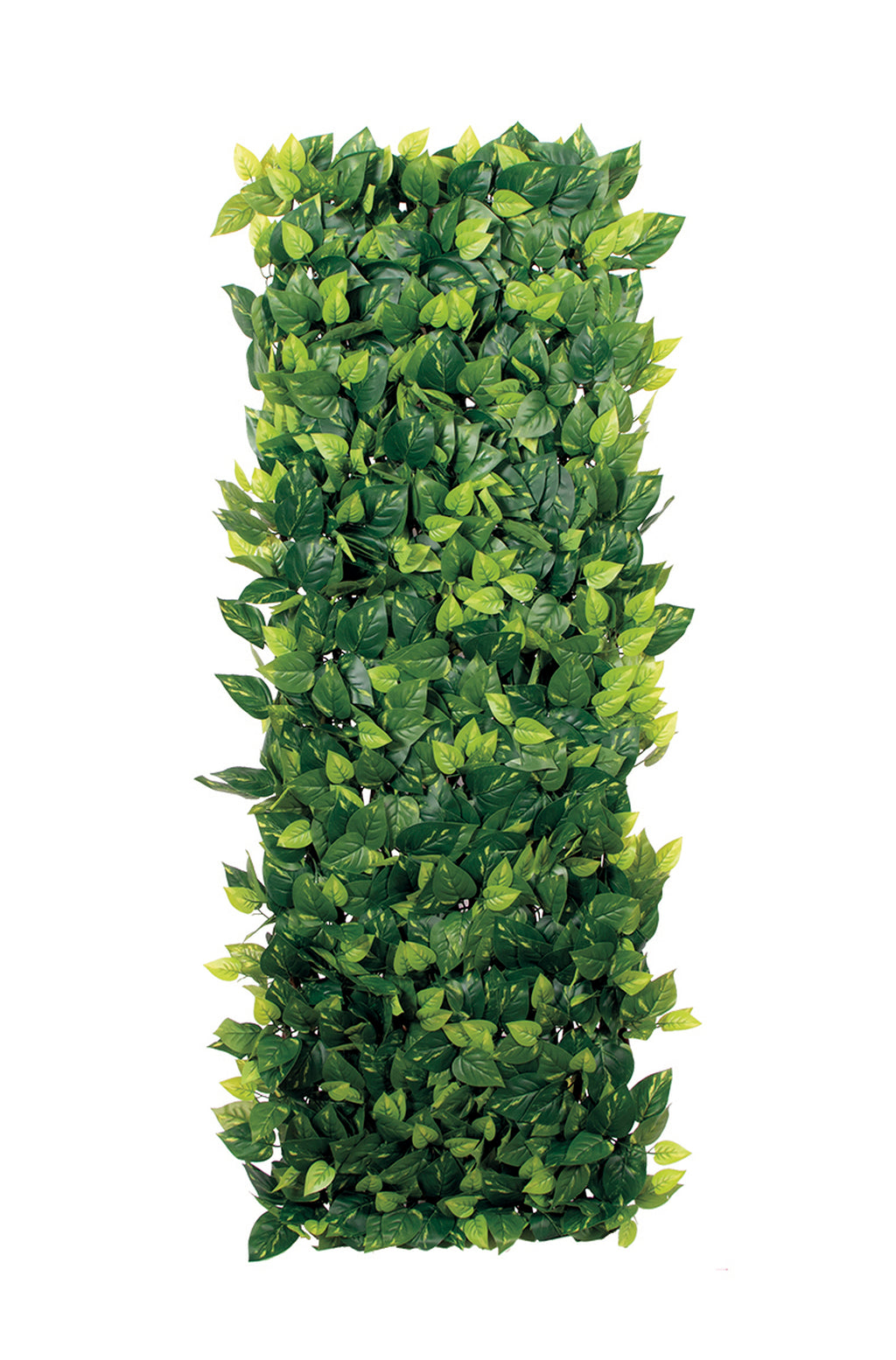 Celosía extensible con hojas EXTENSY GREEN ,9 x 1,8 m  Nortene