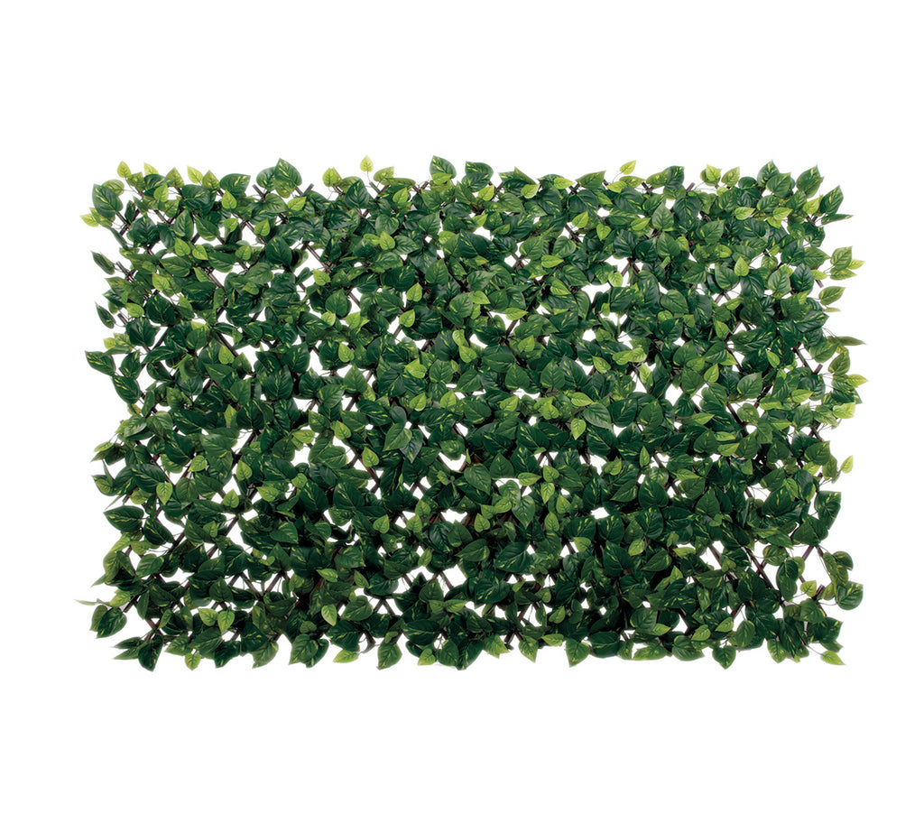 Celosía extensible con hojas EXTENSY GREEN ,9 x 1,8 m  Nortene