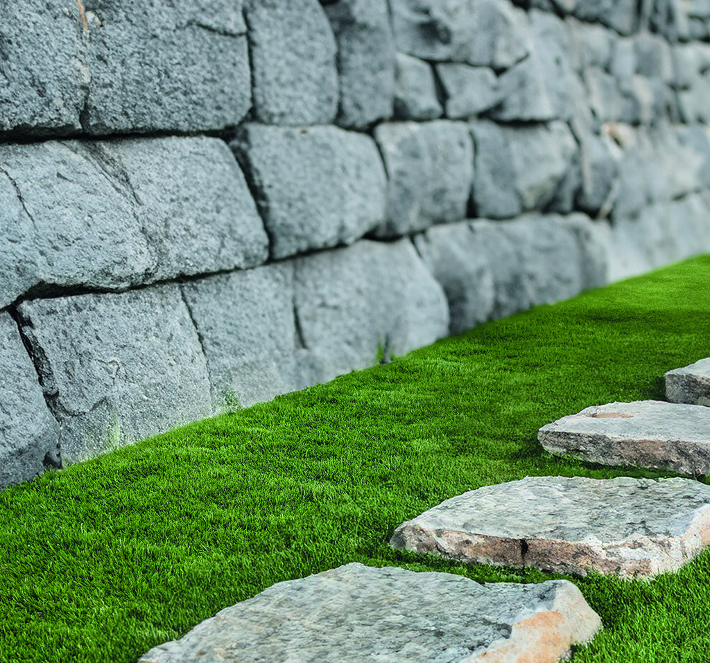 Relva artificial 30 mm NEW PIAZZA EVOLUTION Nortene