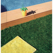 Césped artificial  30 mm GREEN DENIA EVOLUTION  Nortene