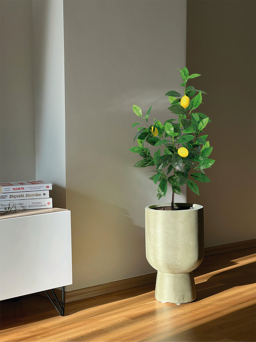 Colección plantas artificiales para exterior DECOPLANT UV Nortene