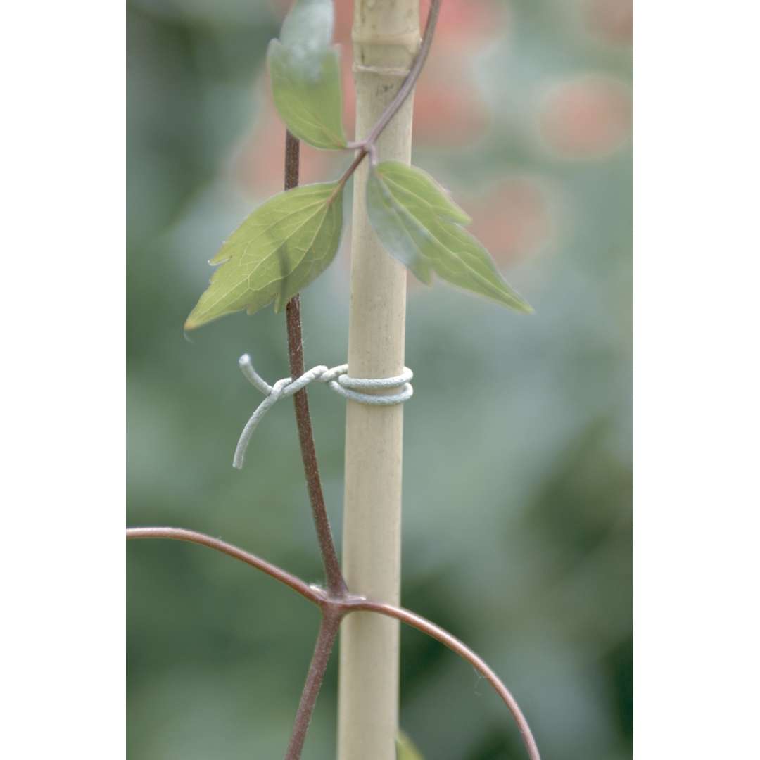 Atadura rugosa R-FIX 5 m Verde Nortene