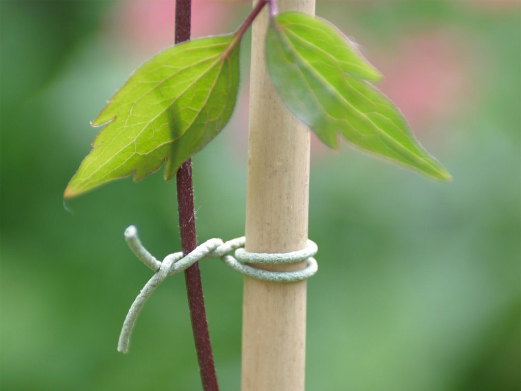 Ligadura rugosa R-FIX 50 m Verde Nortene