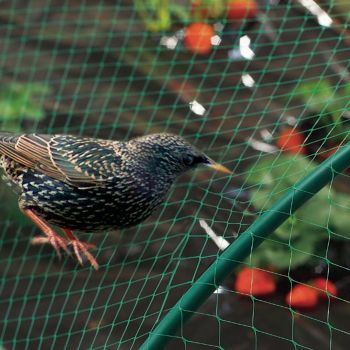 Malla anti pájaros 4x12m verde BIRDNET Nortene