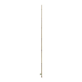 Pack 6 Tutores Bambu 6-8 Mm 0.6 M NORTENE