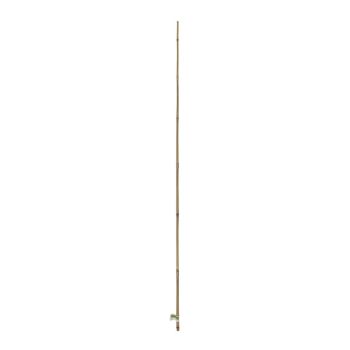 Pack 3 Tutores Bambu 10-12 Mm 1.2 M NORTENE