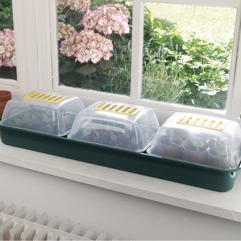 Mini invernadero para semillas RAPID GROW WINDOW Nortene