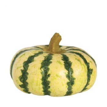 CALABAZA