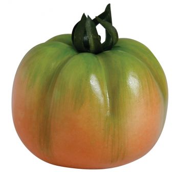 TOMATE VERDE