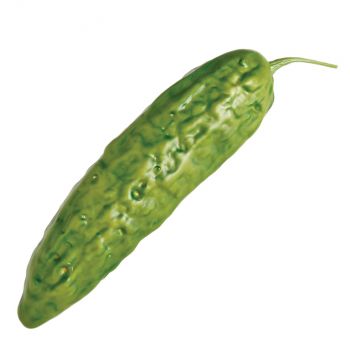 PEPINO