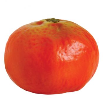 MANDARINA LISA