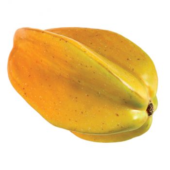 CARAMBOLA