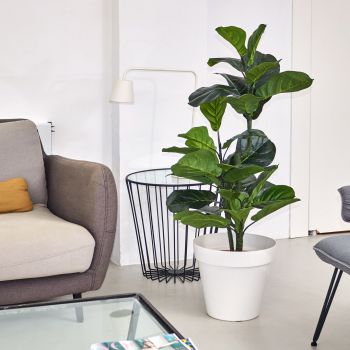 Planta artificial FICUS LYRATA 120 cm Nortene