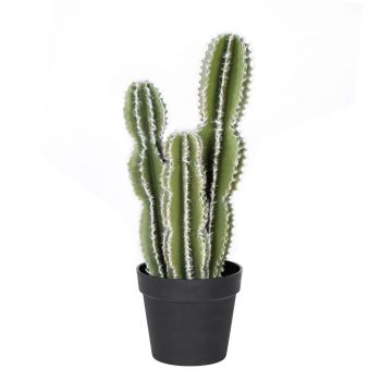 CACTUS CASTILLO DE HADAS 62 CM