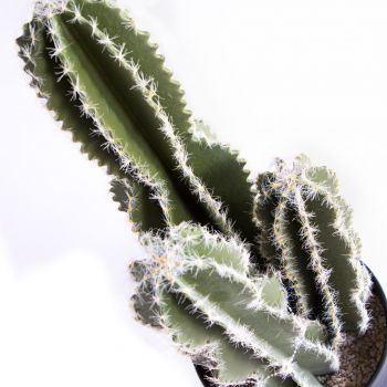 Planta artificial CACTUS CASTILLO DE HADAS 62 cm Nortene